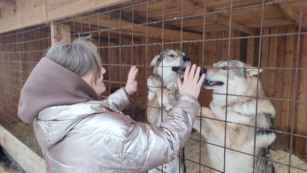 Кашира, общество