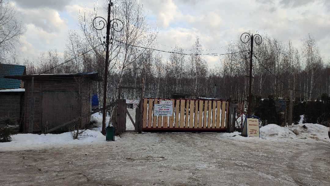 Кашира, общество