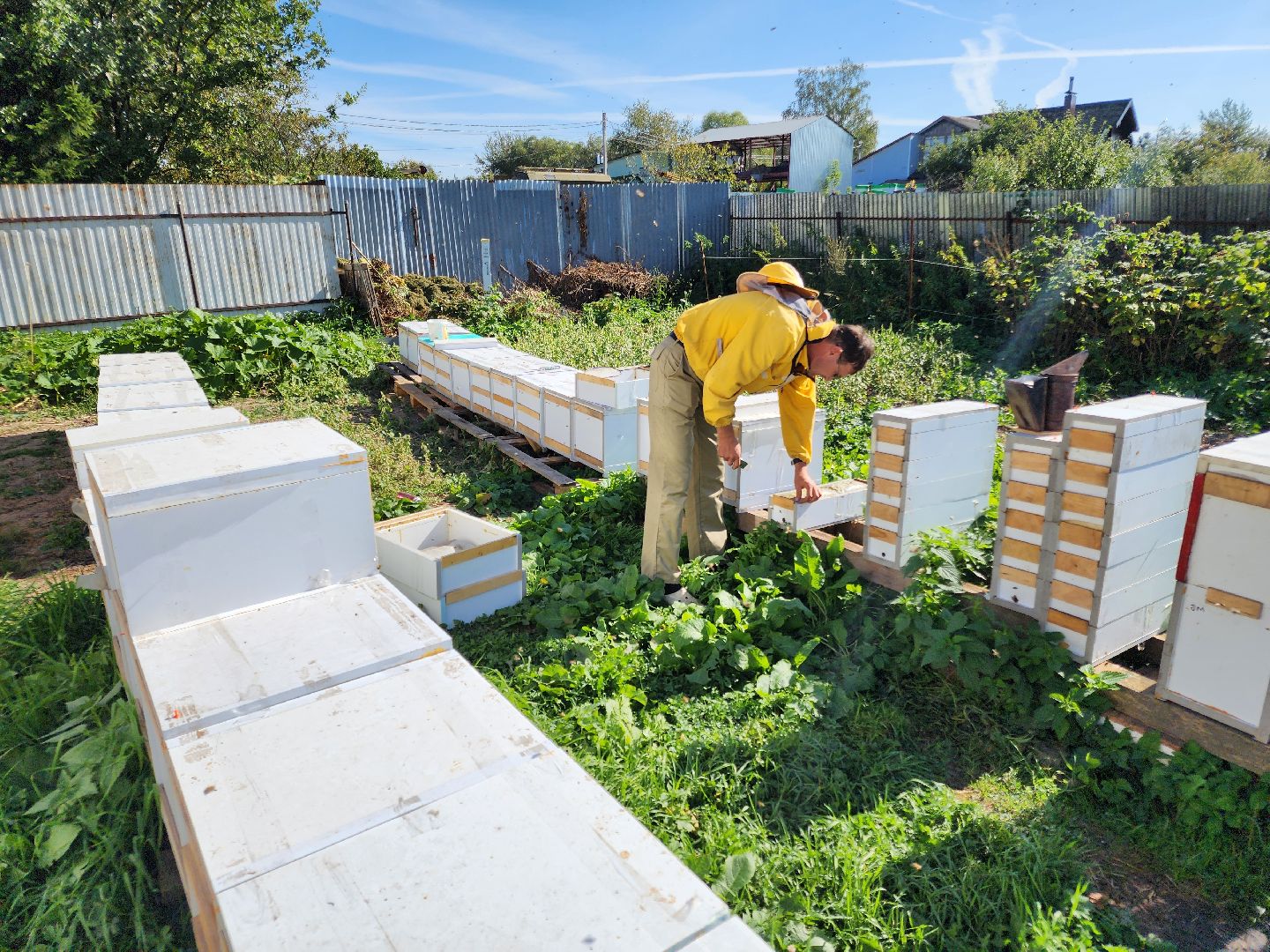 Чехов, деревня Чепелево, КФХ Вишневый сад, пчеловод Владимир Тычинин, фермерское хозяйство, грант, министерство сельского хозяйства и продовольствия Московской области,пчеловодство, производство меда,