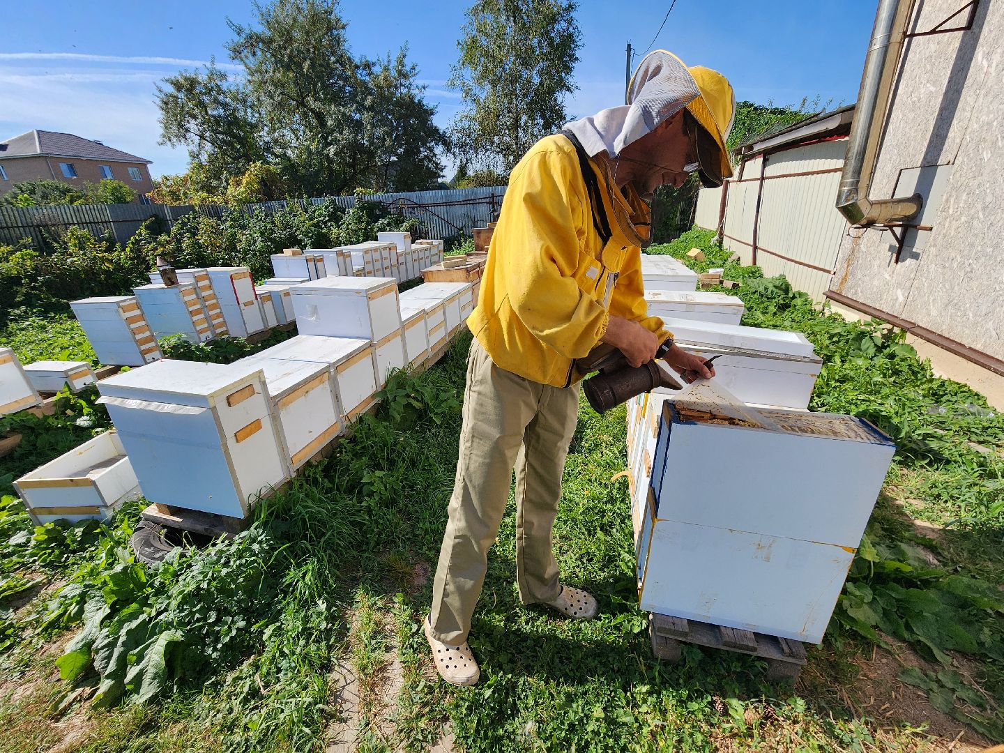 Чехов, деревня Чепелево, КФХ Вишневый сад, пчеловод Владимир Тычинин, фермерское хозяйство, грант, министерство сельского хозяйства и продовольствия Московской области,пчеловодство, производство меда,