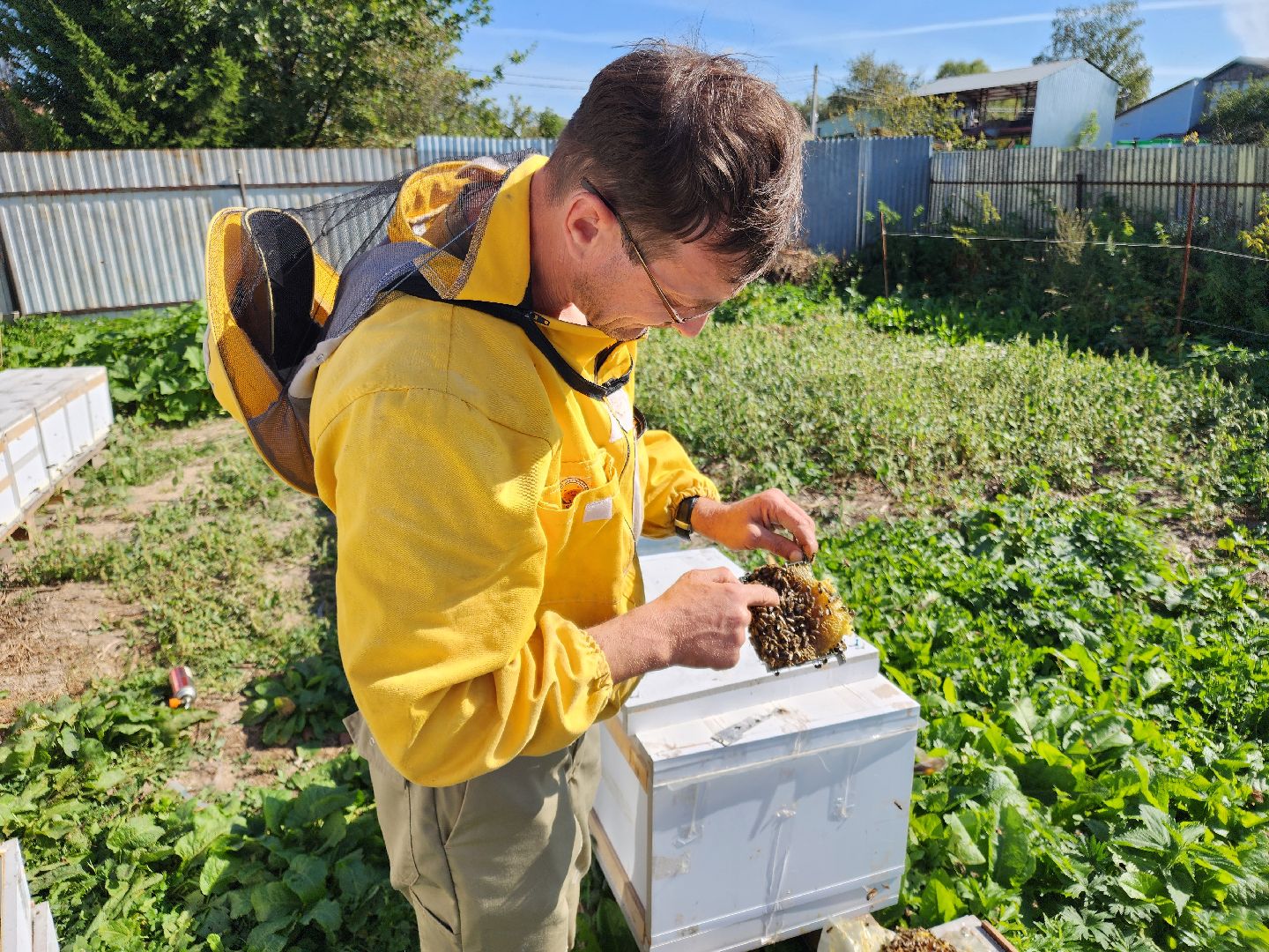 Чехов, деревня Чепелево, КФХ Вишневый сад, пчеловод Владимир Тычинин, фермерское хозяйство, грант, министерство сельского хозяйства и продовольствия Московской области,пчеловодство, производство меда,