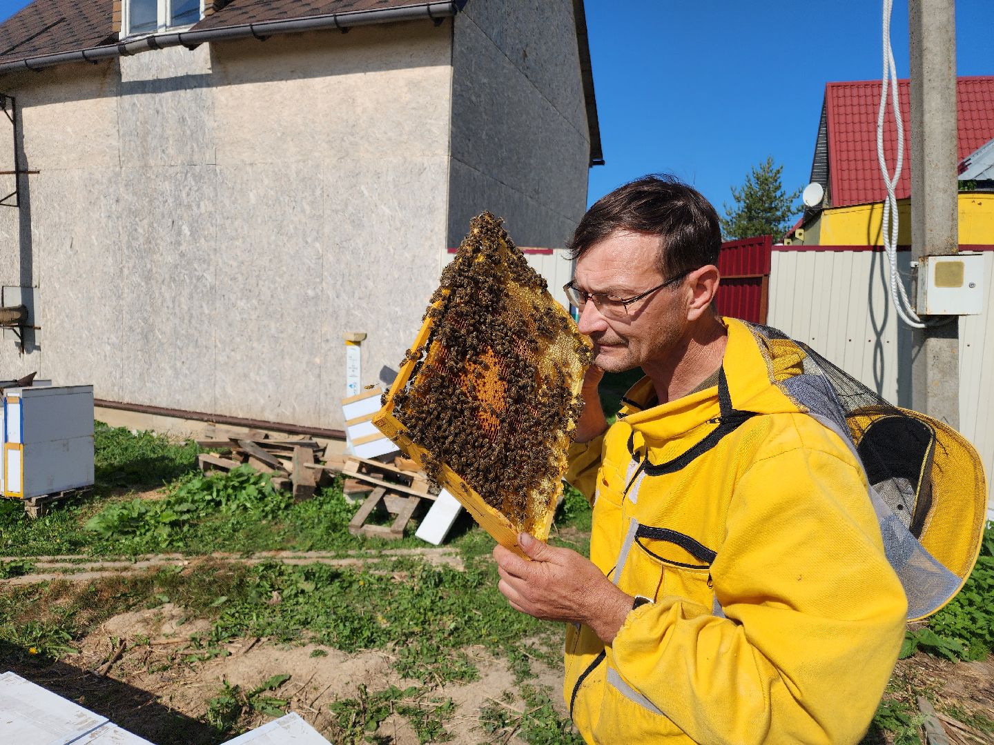Чехов, деревня Чепелево, КФХ Вишневый сад, пчеловод Владимир Тычинин, фермерское хозяйство, грант, министерство сельского хозяйства и продовольствия Московской области,пчеловодство, производство меда,