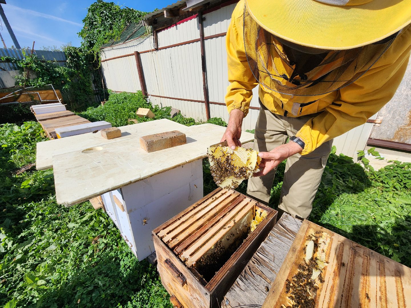 Чехов, деревня Чепелево, КФХ Вишневый сад, пчеловод Владимир Тычинин, фермерское хозяйство, грант, министерство сельского хозяйства и продовольствия Московской области,пчеловодство, производство меда,
