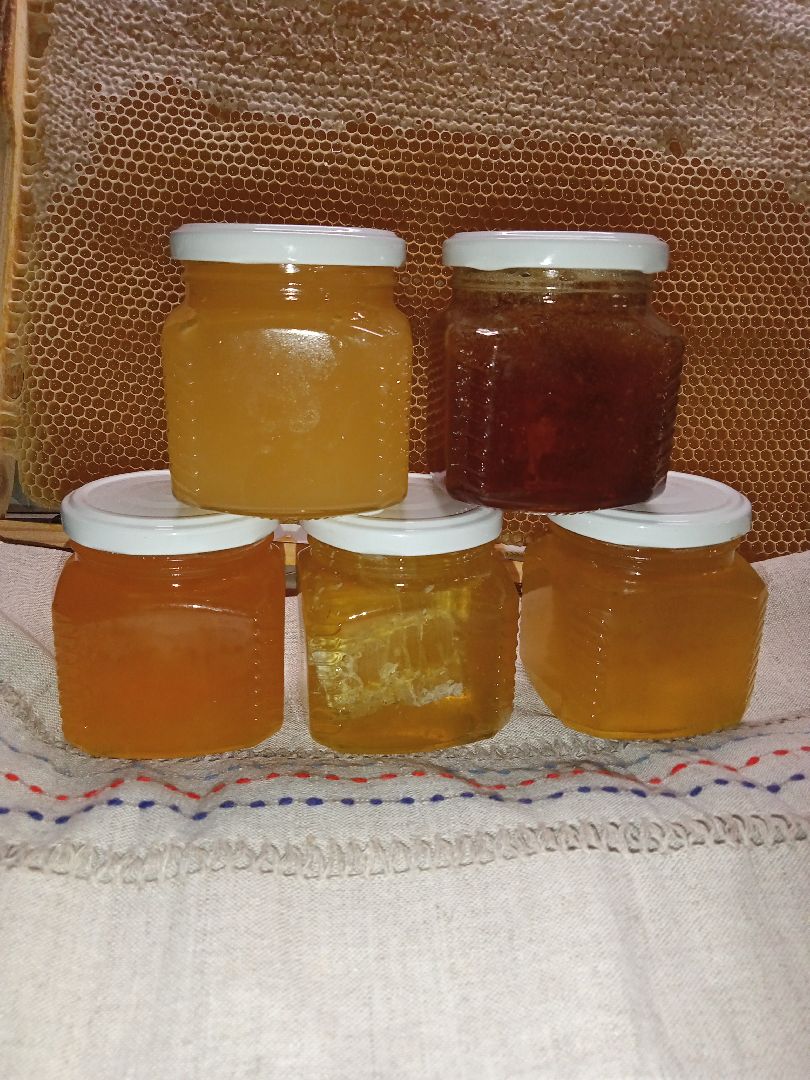 Чехов, деревня Чепелево, КФХ Вишневый сад, пчеловод Владимир Тычинин, фермерское хозяйство, грант, министерство сельского хозяйства и продовольствия Московской области,пчеловодство, производство меда,