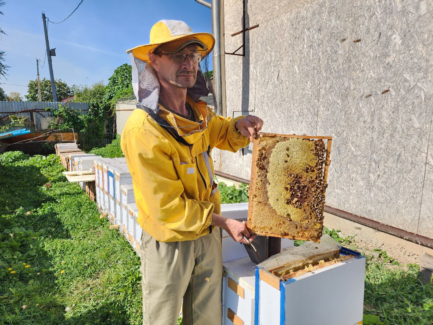 Чехов, деревня Чепелево, КФХ Вишневый сад, пчеловод Владимир Тычинин, фермерское хозяйство, грант, министерство сельского хозяйства и продовольствия Московской области,пчеловодство, производство меда,