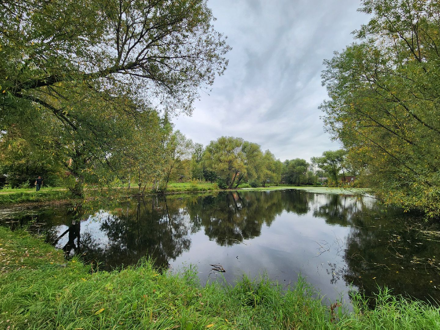 Экология, одинцово, губкино, пруд, канализация, фауна,