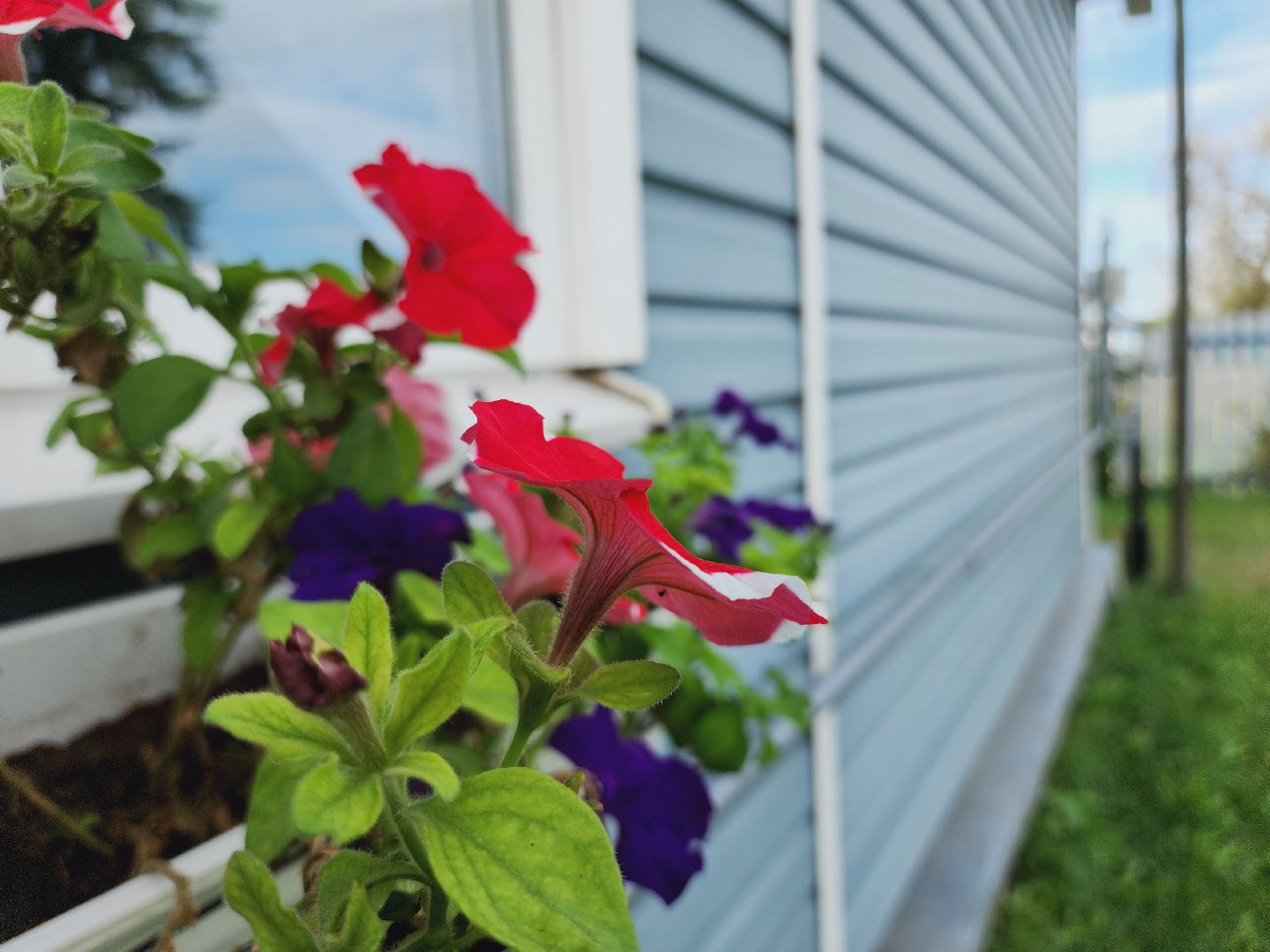 Егорьевск, Подмосковье, Московская область, газ, газификация, соцгазификация, быстрая газификация,