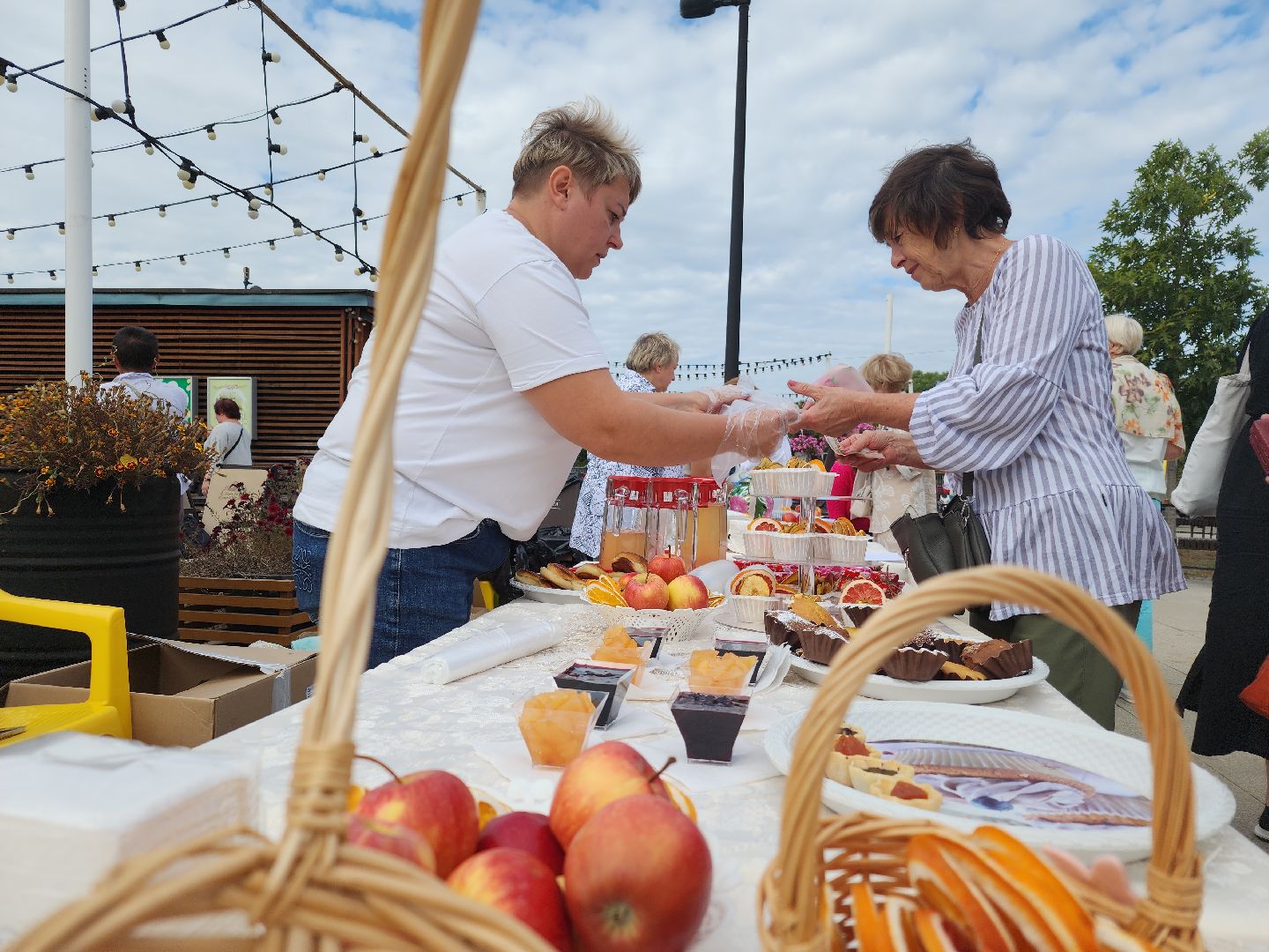 активное долголетие, Фестиваль шарлотки, орехово-зуевский округ,