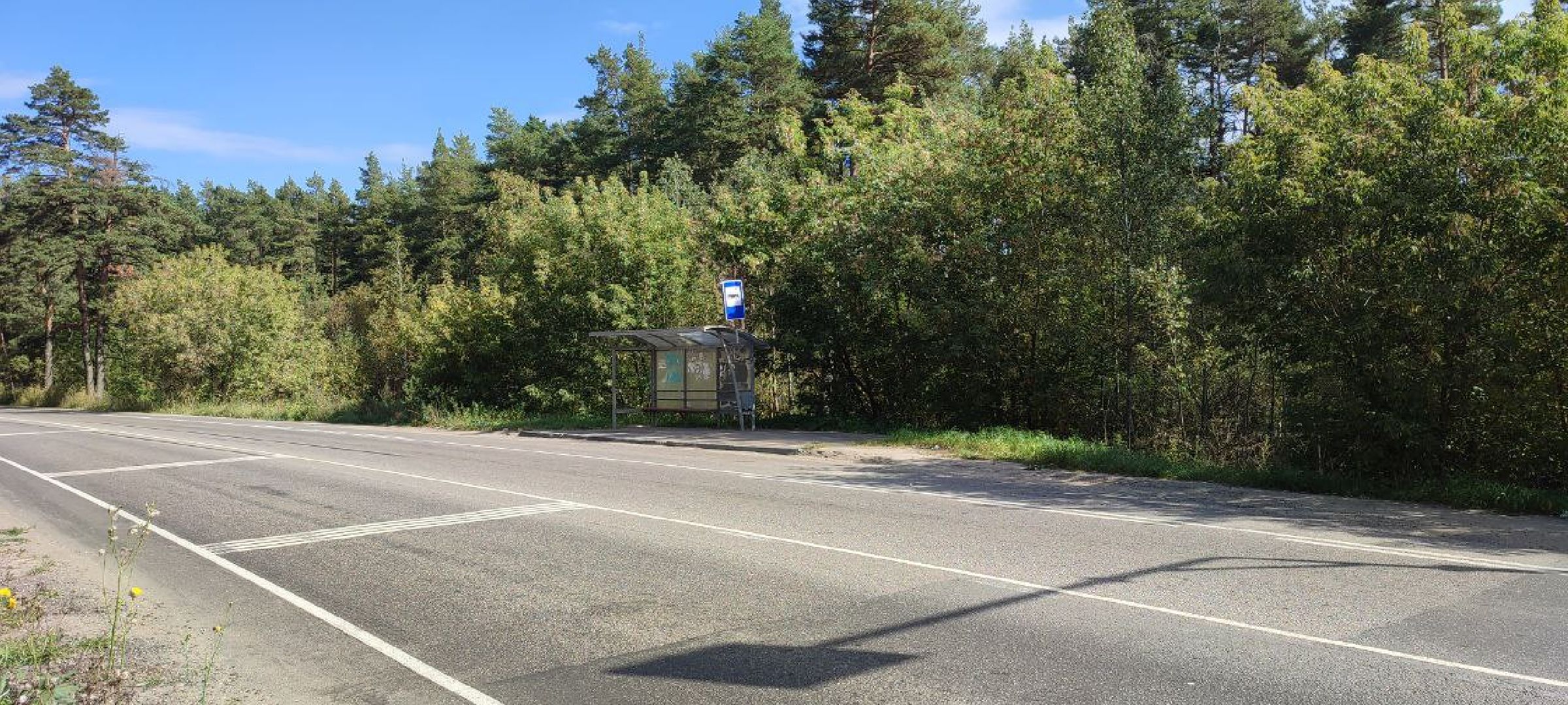 электроугли, жители, общество, дороги, выездная администрация, глава богородского округа, снт, власть,