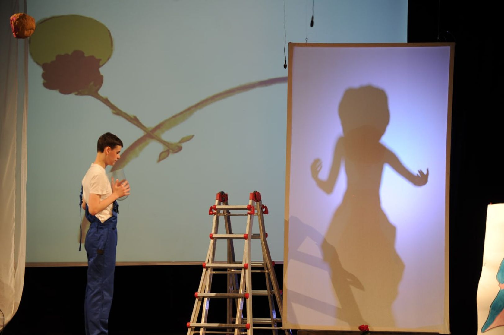 театр, актёрское мастерство, таланты, постановка, маленький принц, Видное