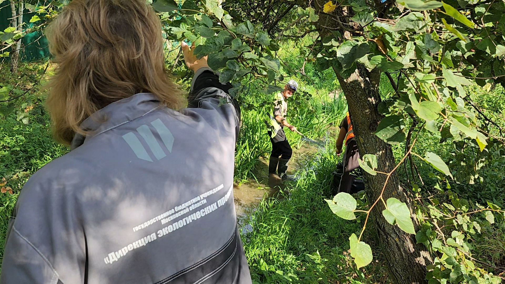 одинцово, ликова, дубки, река, очистка, земснаряд,