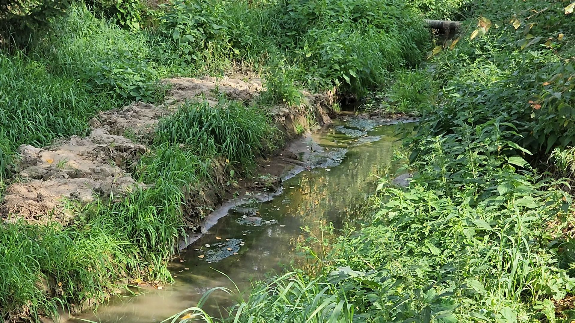 одинцово, ликова, дубки, река, очистка, земснаряд,