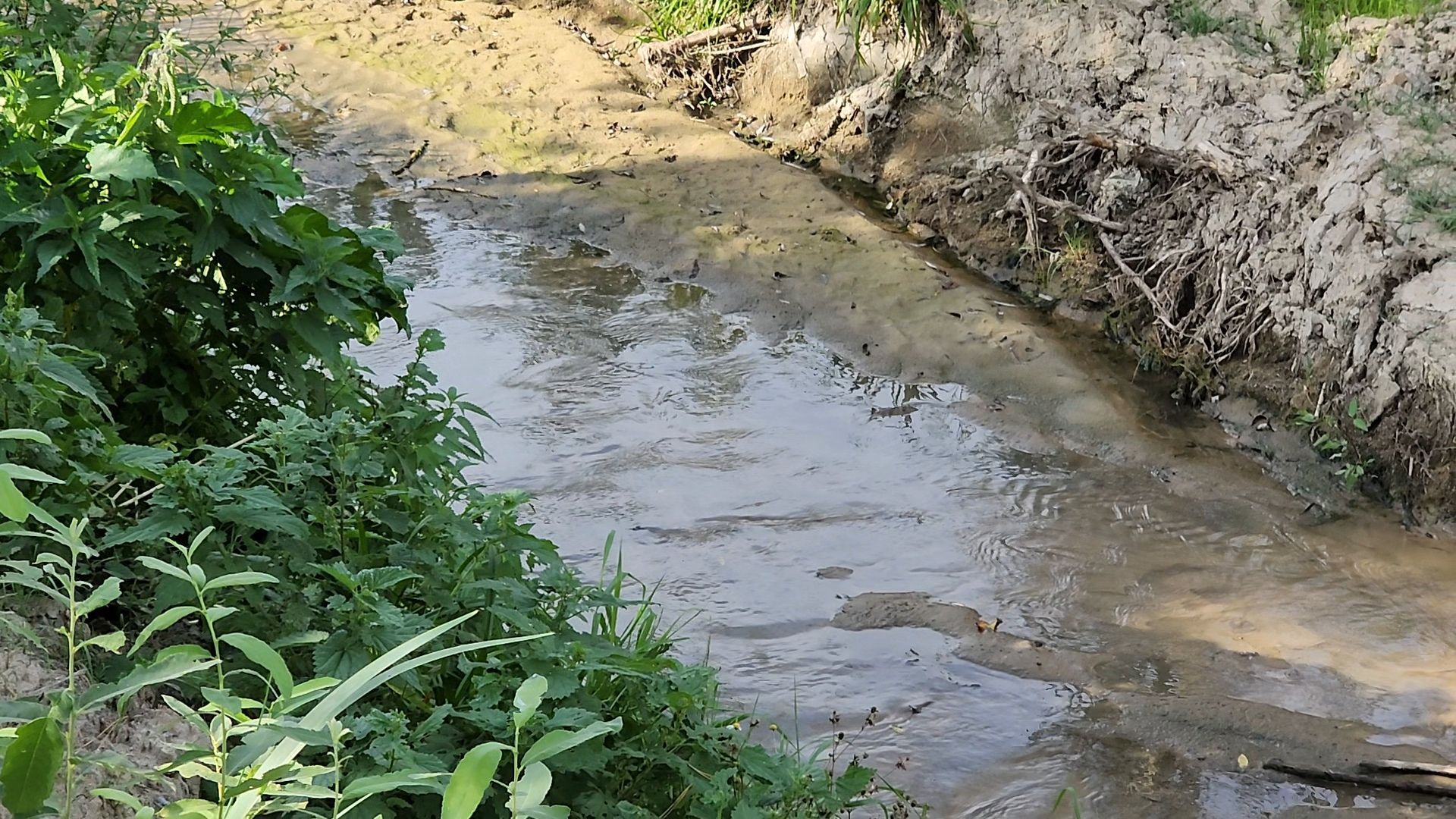 одинцово, ликова, дубки, река, очистка, земснаряд,