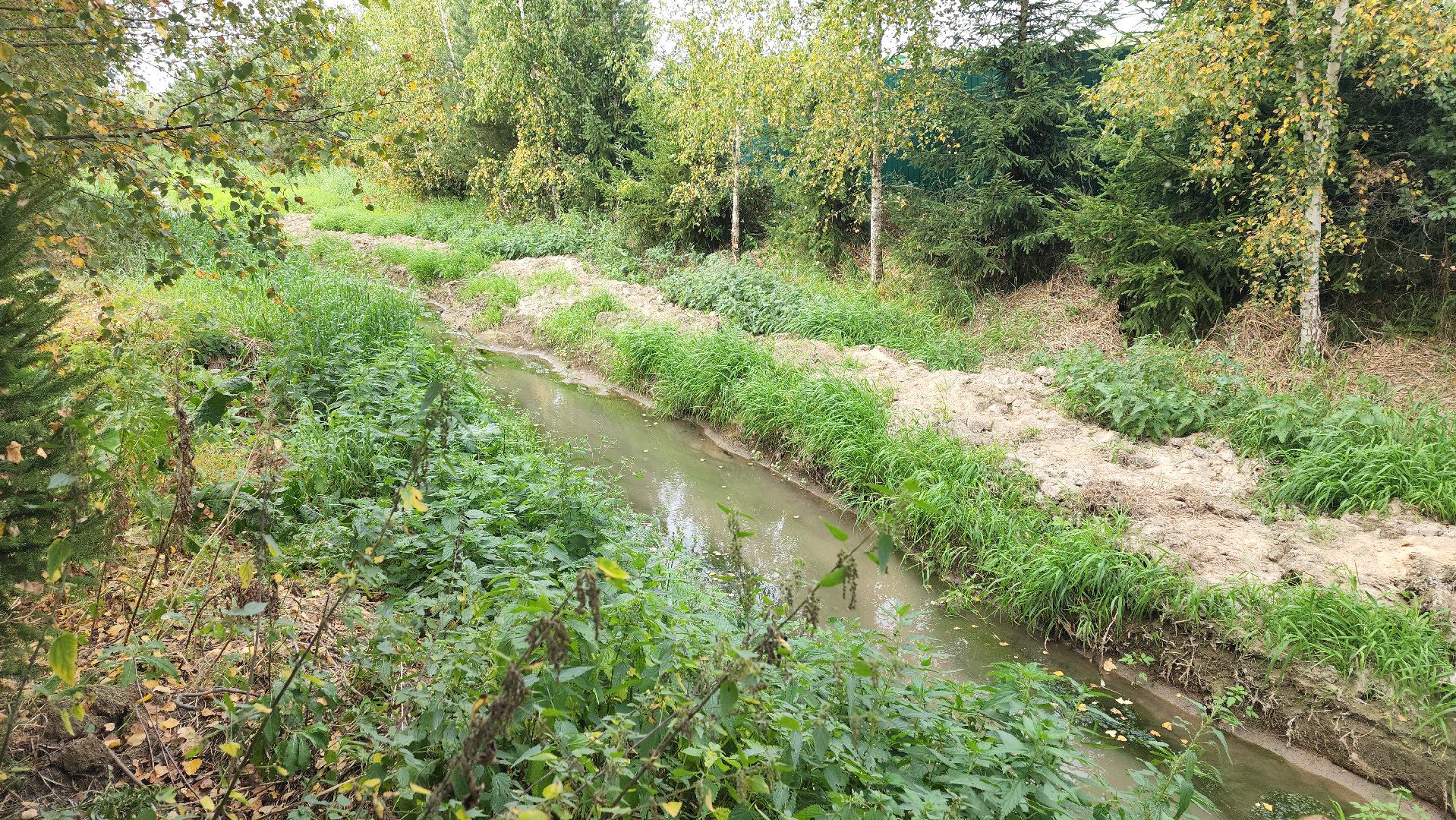 одинцово, ликова, дубки, река, очистка, земснаряд,