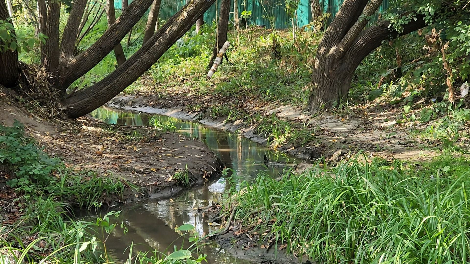 одинцово, ликова, дубки, река, очистка, земснаряд,