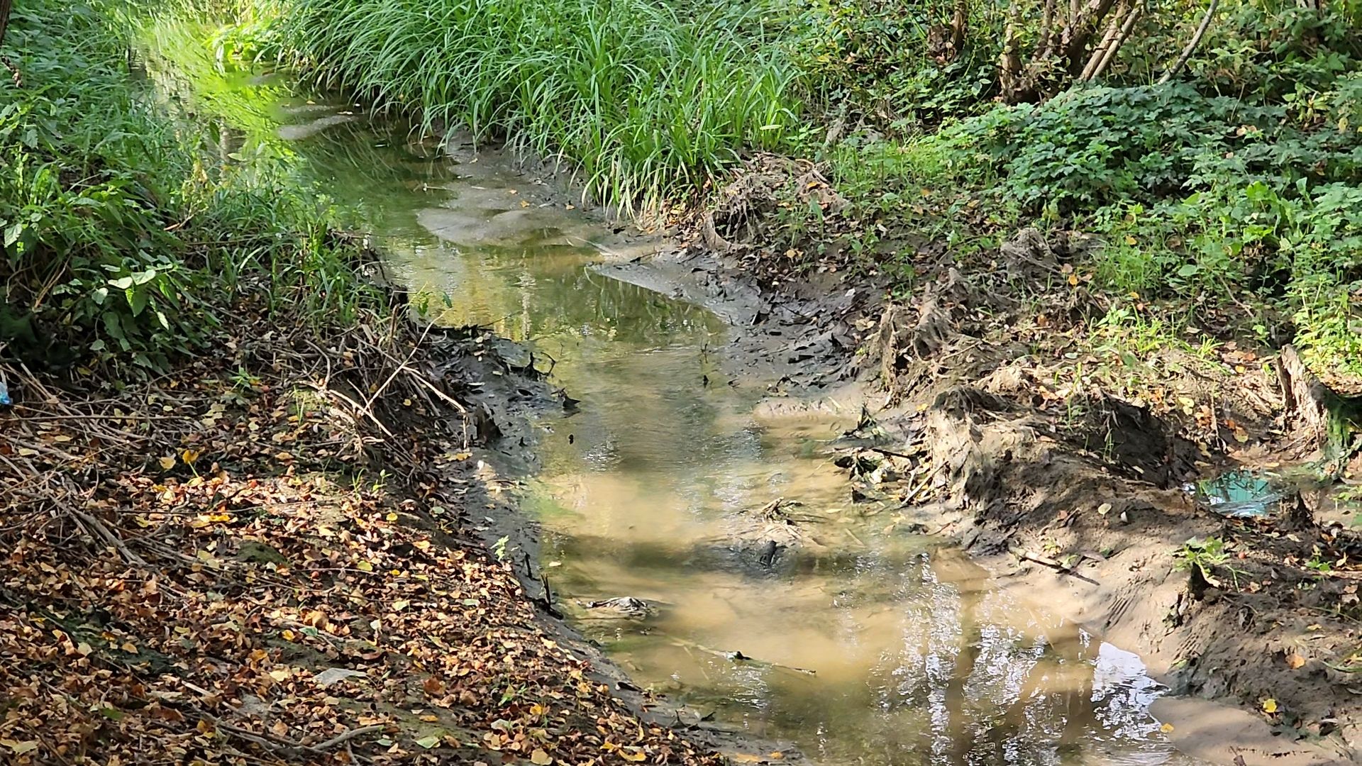 одинцово, ликова, дубки, река, очистка, земснаряд,