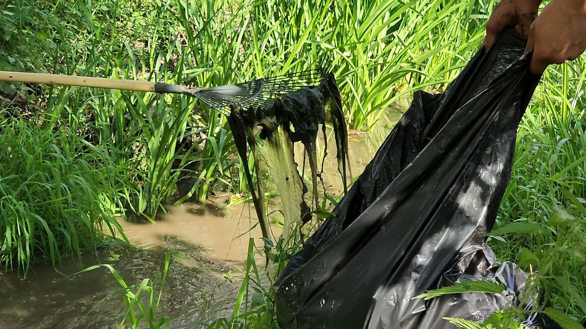 одинцово, ликова, дубки, река, очистка, земснаряд,