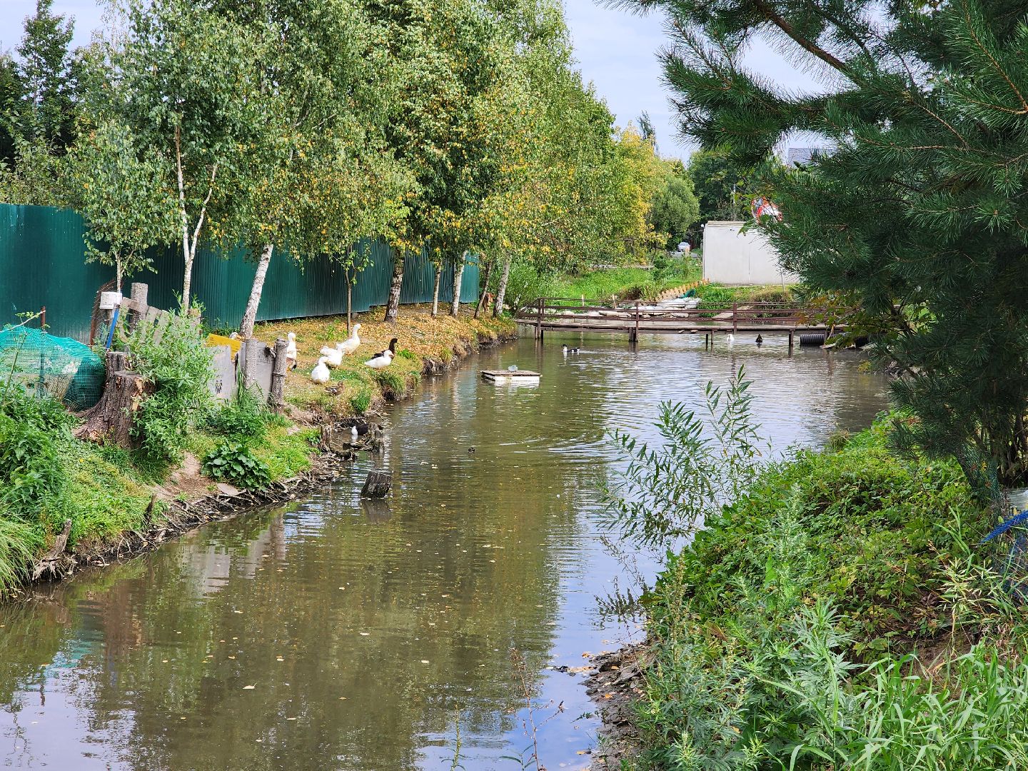 одинцово, ликова, дубки, река, очистка, земснаряд,