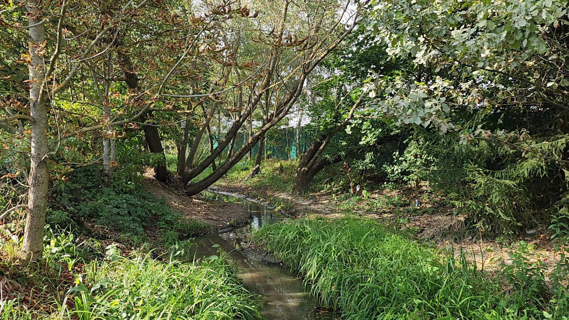 одинцово, ликова, дубки, река, очистка, земснаряд,