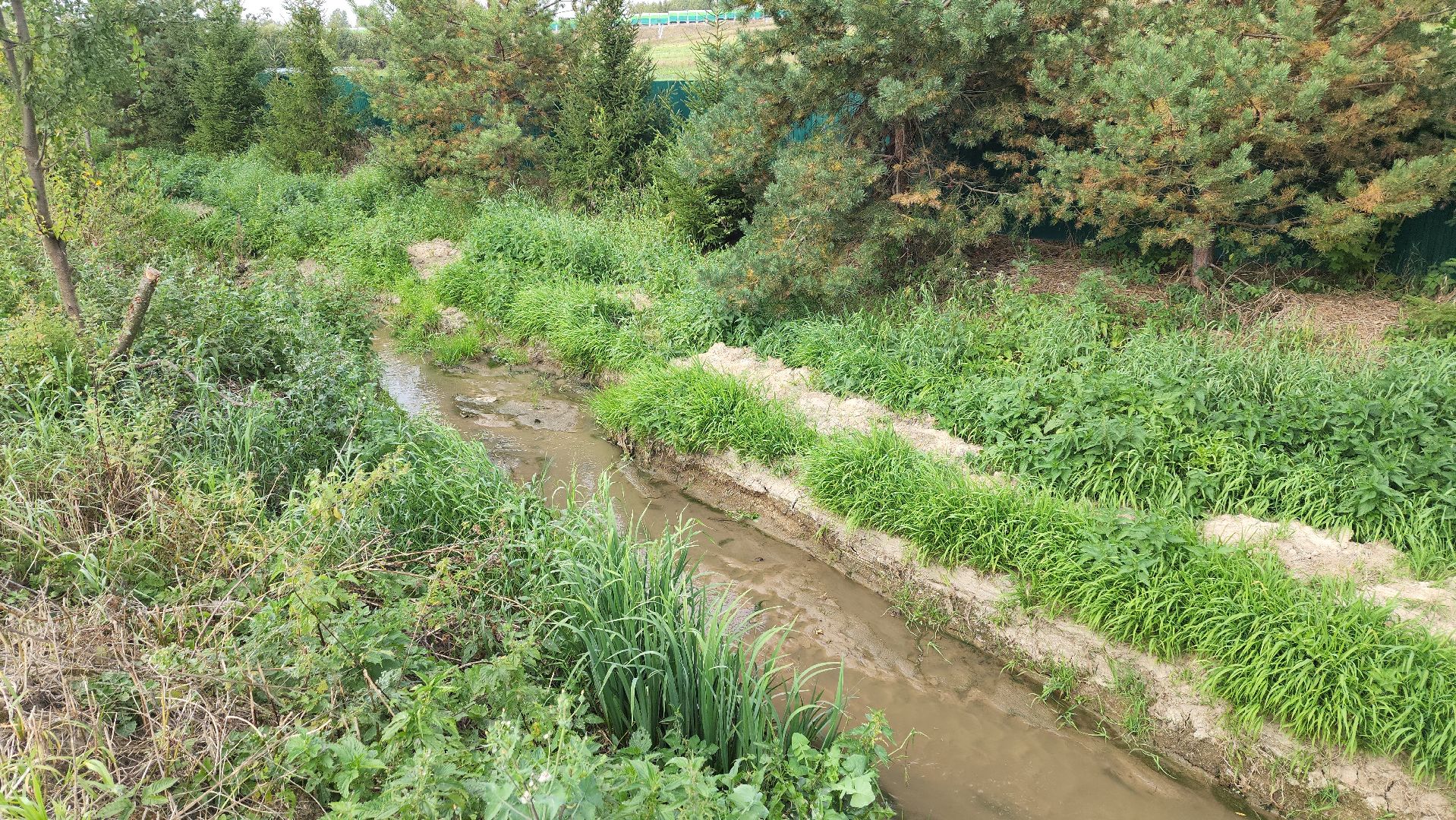 одинцово, ликова, дубки, река, очистка, земснаряд,