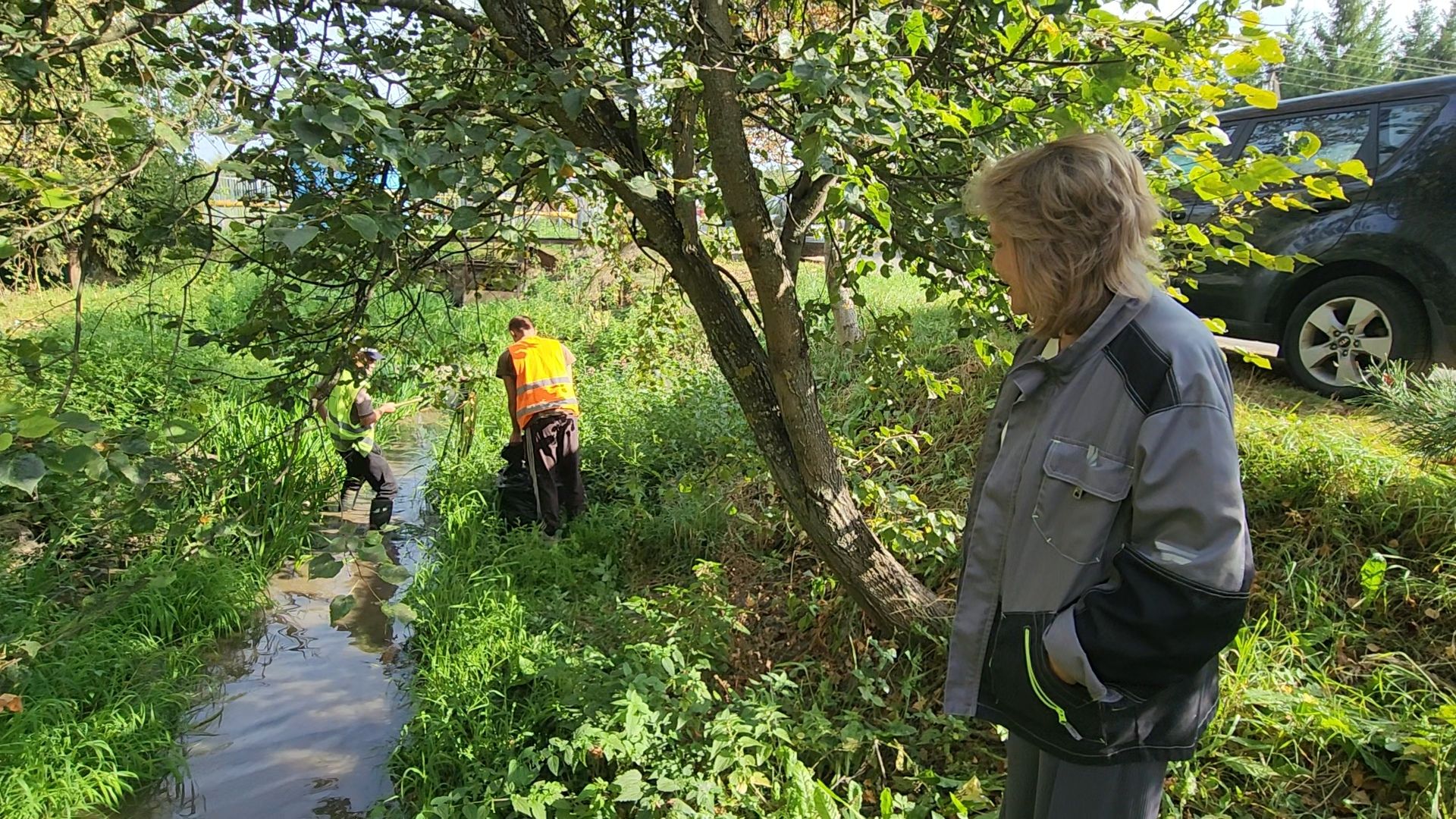 одинцово, ликова, дубки, река, очистка, земснаряд,