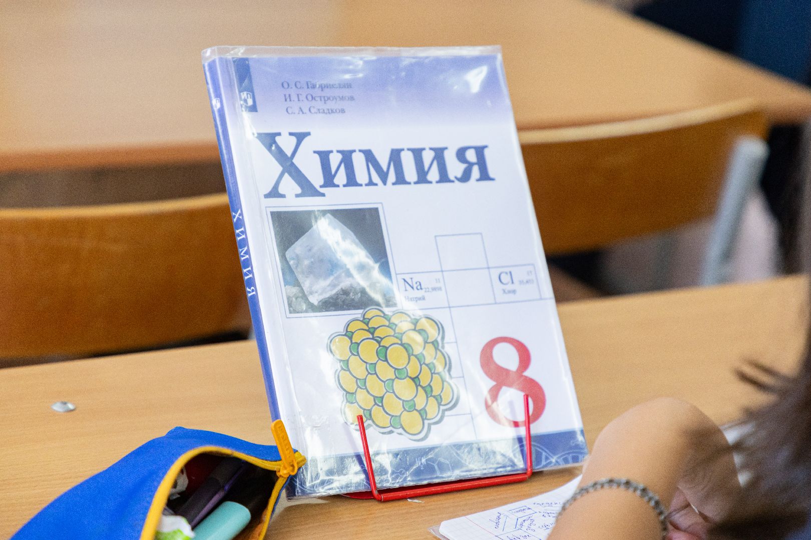 лыткарино, молодой учитель, 7 гимназия лыткарино,