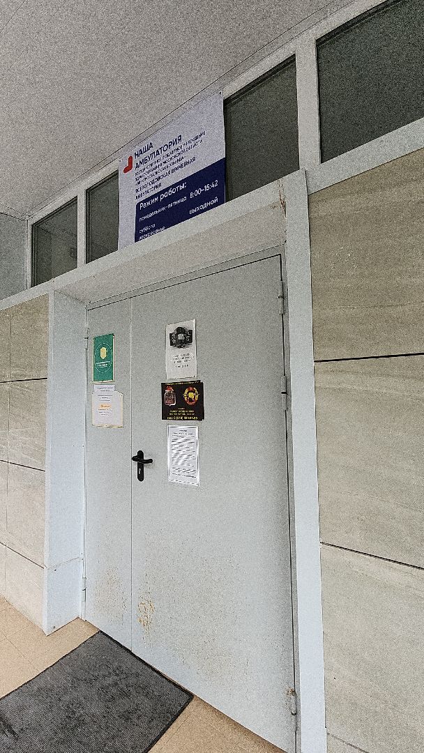 здравоохранение, здравоохранение мо, здравоохранение московской области, здравоохранение подмосковья, земский доктор, сельский врач, поселок Всеволодово, электросталь, амбулатория,