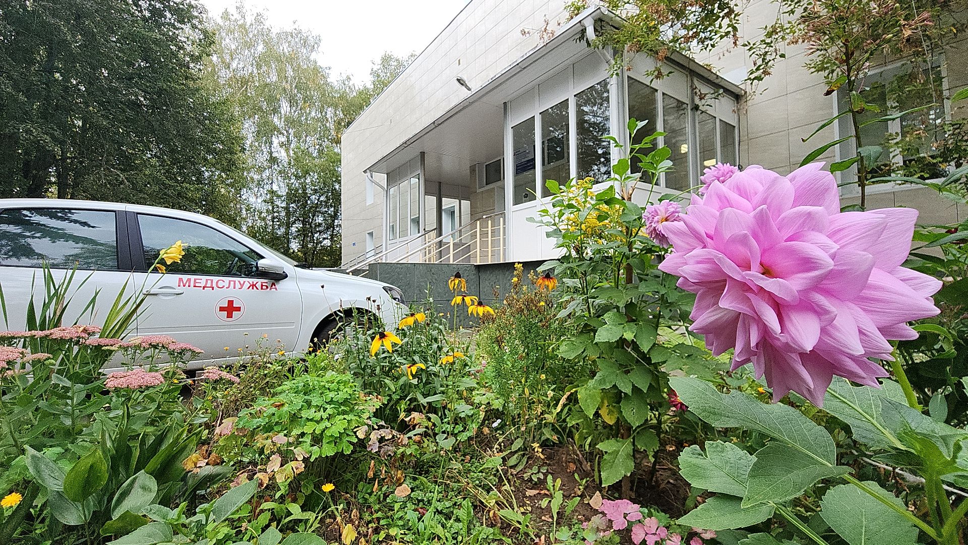 здравоохранение, здравоохранение мо, здравоохранение московской области, здравоохранение подмосковья, земский доктор, сельский врач, поселок Всеволодово, электросталь, амбулатория,