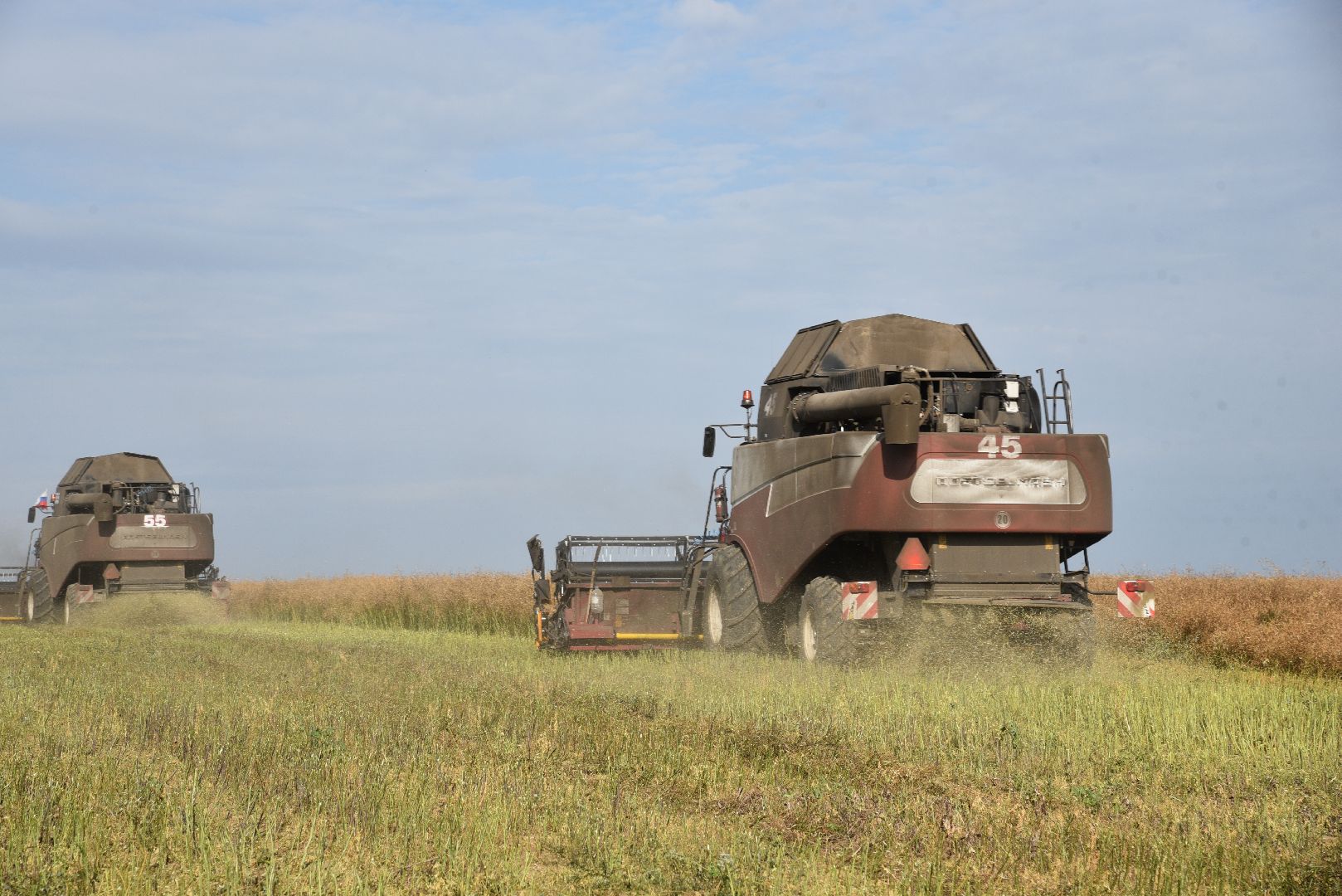 лотошино, сельское хозяйство, урожай 2024, рапс,