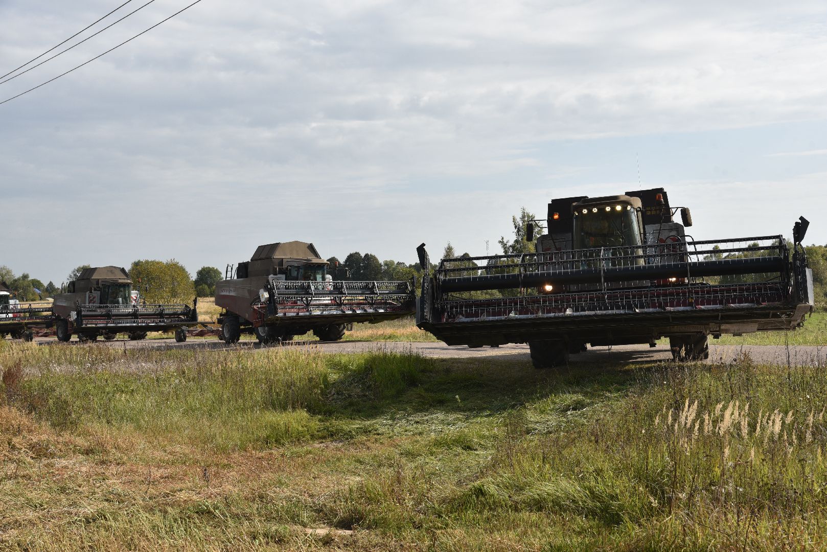лотошино, сельское хозяйство, урожай 2024, рапс,