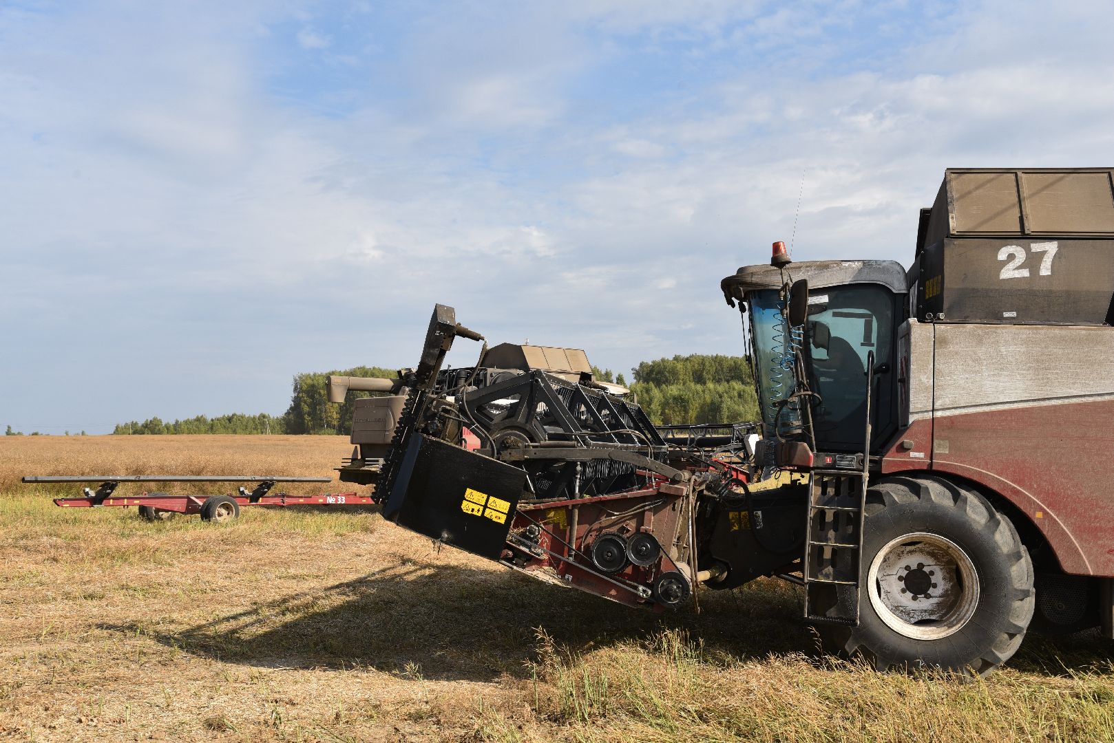 лотошино, сельское хозяйство, урожай 2024, рапс,