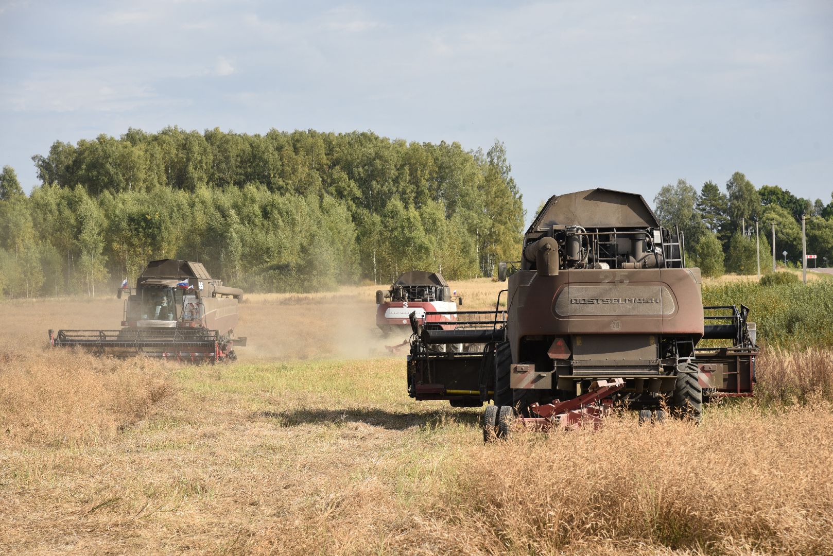 лотошино, сельское хозяйство, урожай 2024, рапс,