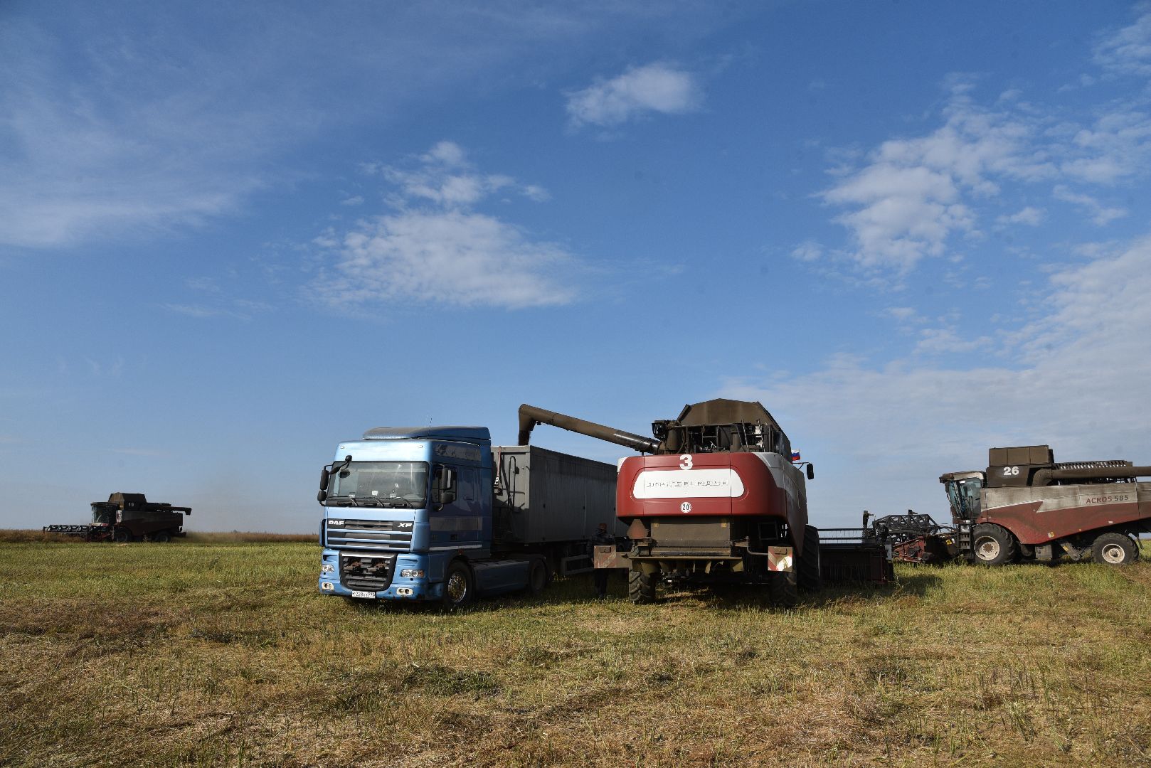 лотошино, сельское хозяйство, урожай 2024, рапс,