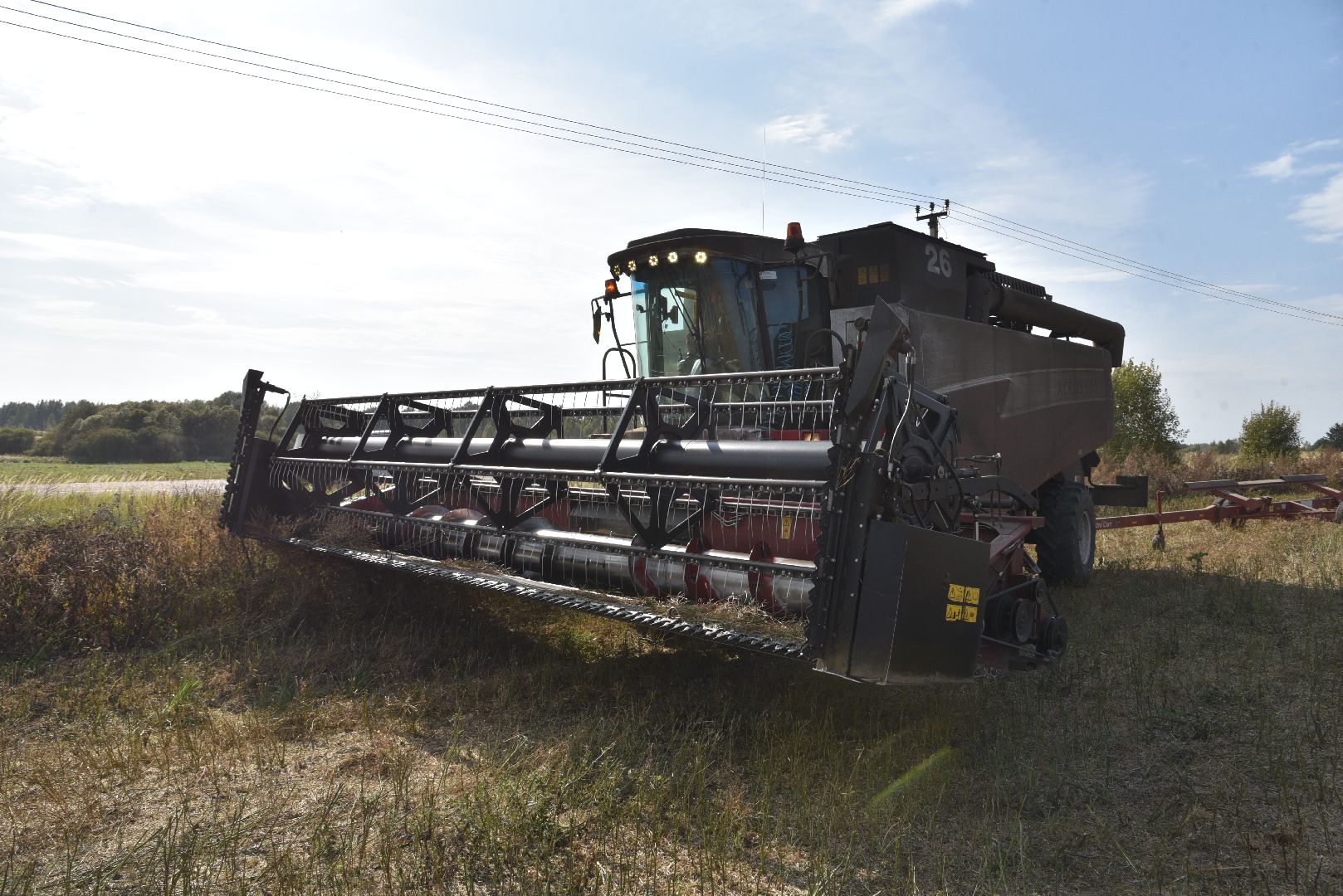 лотошино, сельское хозяйство, урожай 2024, рапс,