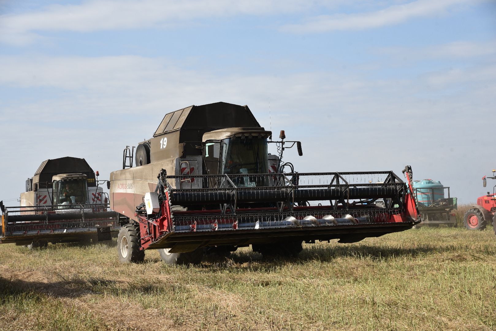 лотошино, сельское хозяйство, урожай 2024, рапс,