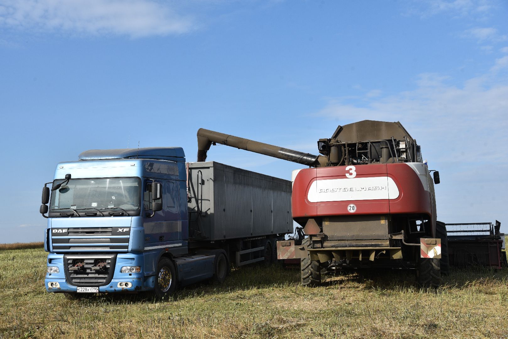 лотошино, сельское хозяйство, урожай 2024, рапс,