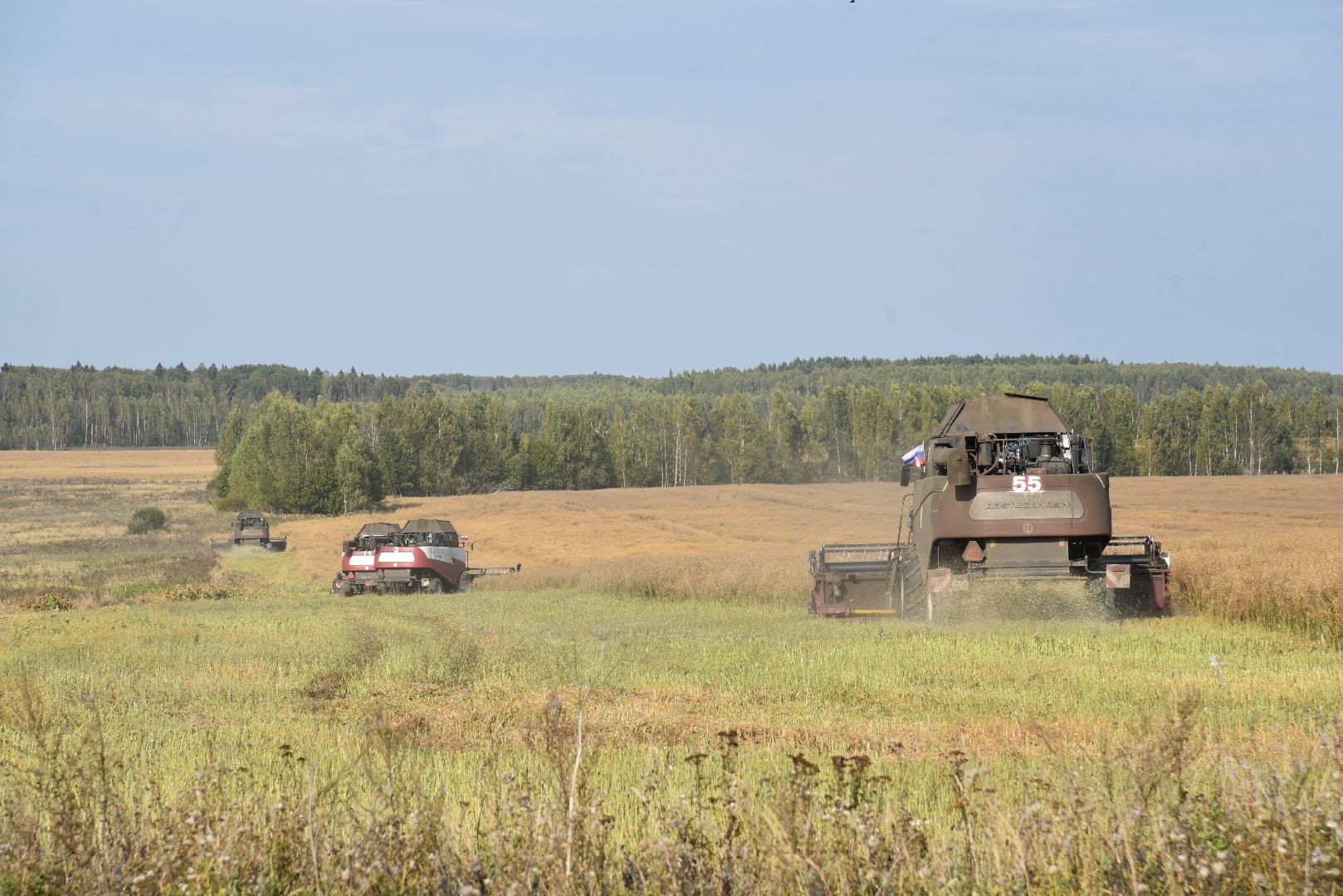 лотошино, сельское хозяйство, урожай 2024, рапс,