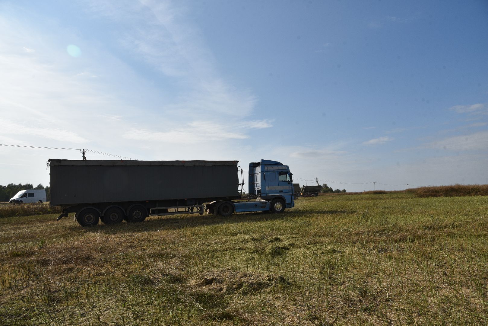 лотошино, сельское хозяйство, урожай 2024, рапс,