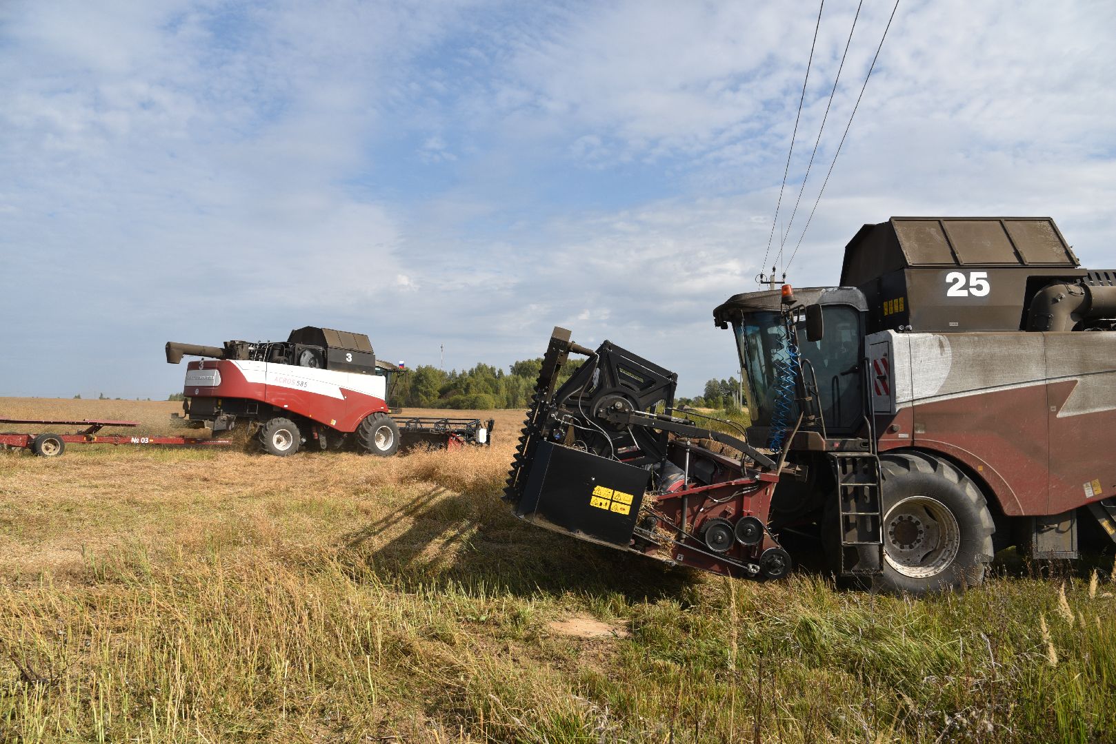 лотошино, сельское хозяйство, урожай 2024, рапс,