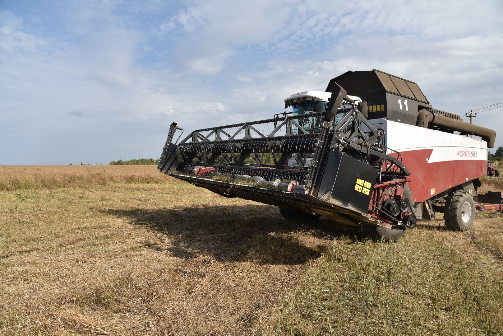 лотошино, сельское хозяйство, урожай 2024, рапс,
