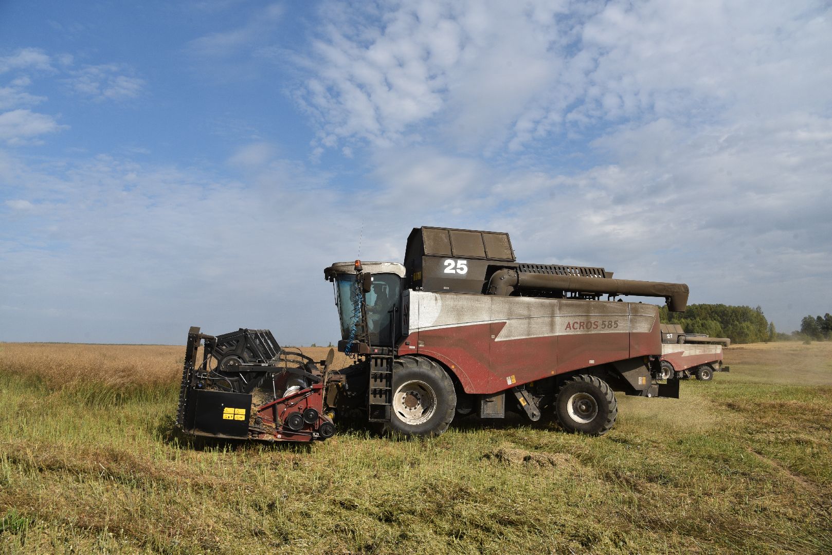 лотошино, сельское хозяйство, урожай 2024, рапс,
