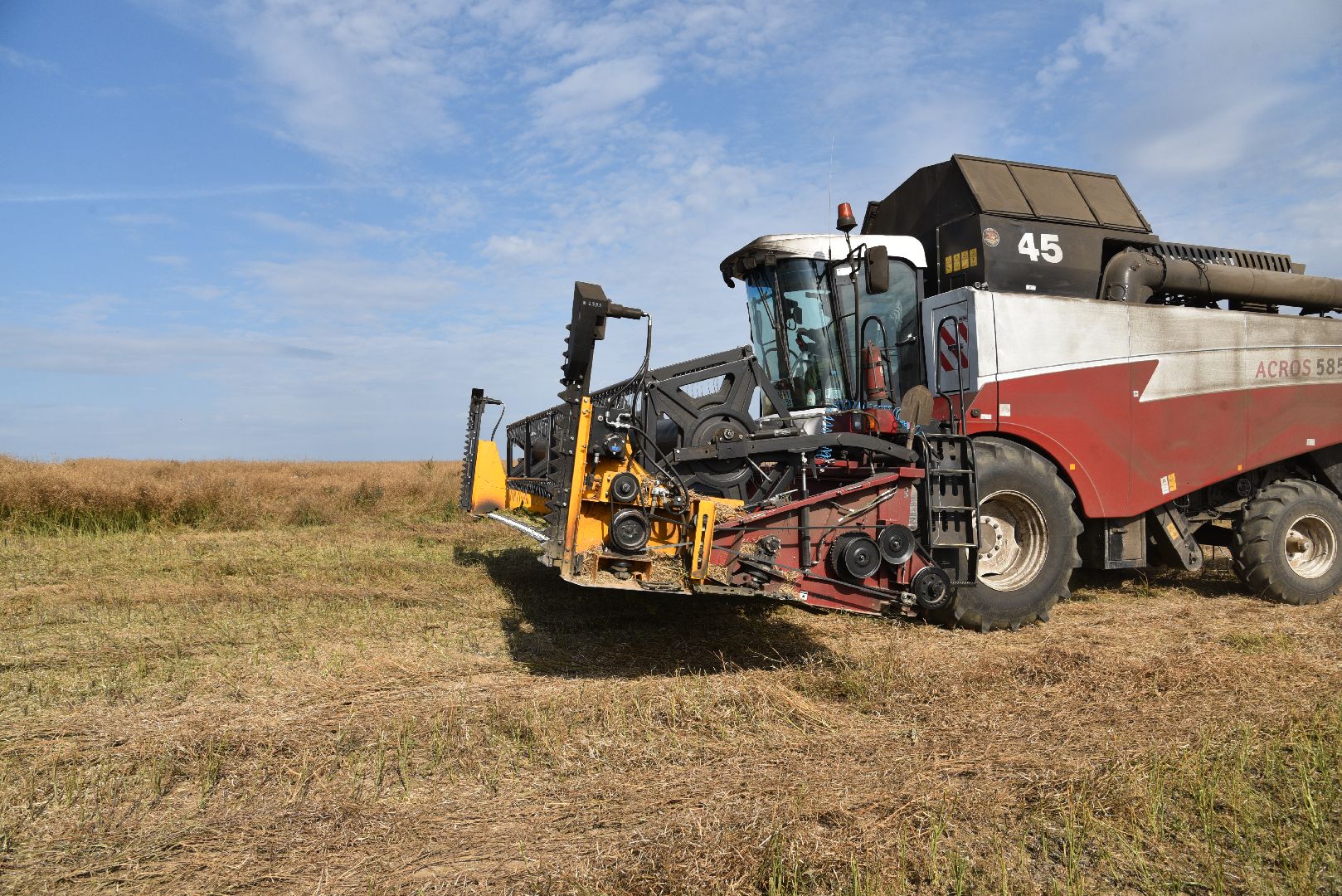 лотошино, сельское хозяйство, урожай 2024, рапс,