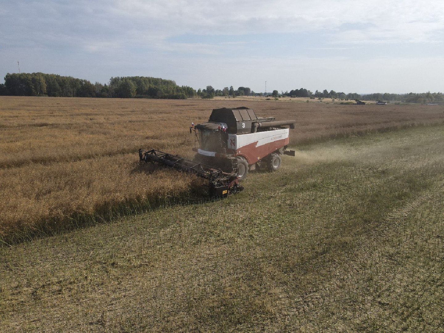 лотошино, сельское хозяйство, урожай 2024, рапс,