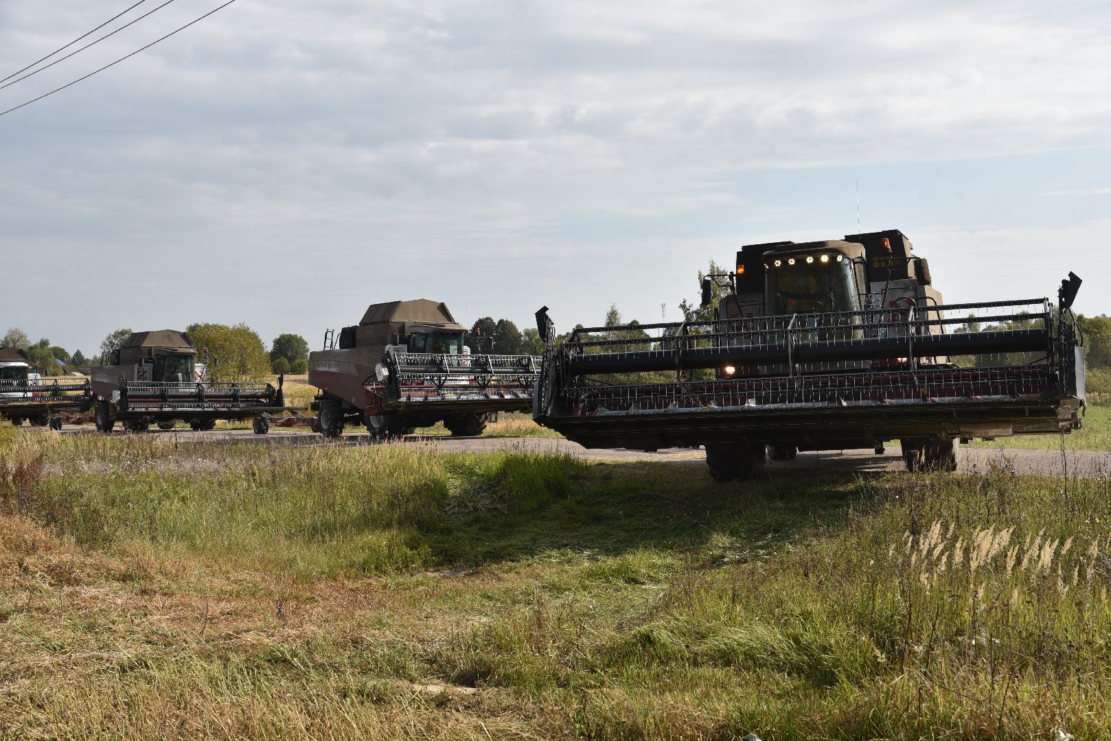 лотошино, сельское хозяйство, урожай 2024, рапс,