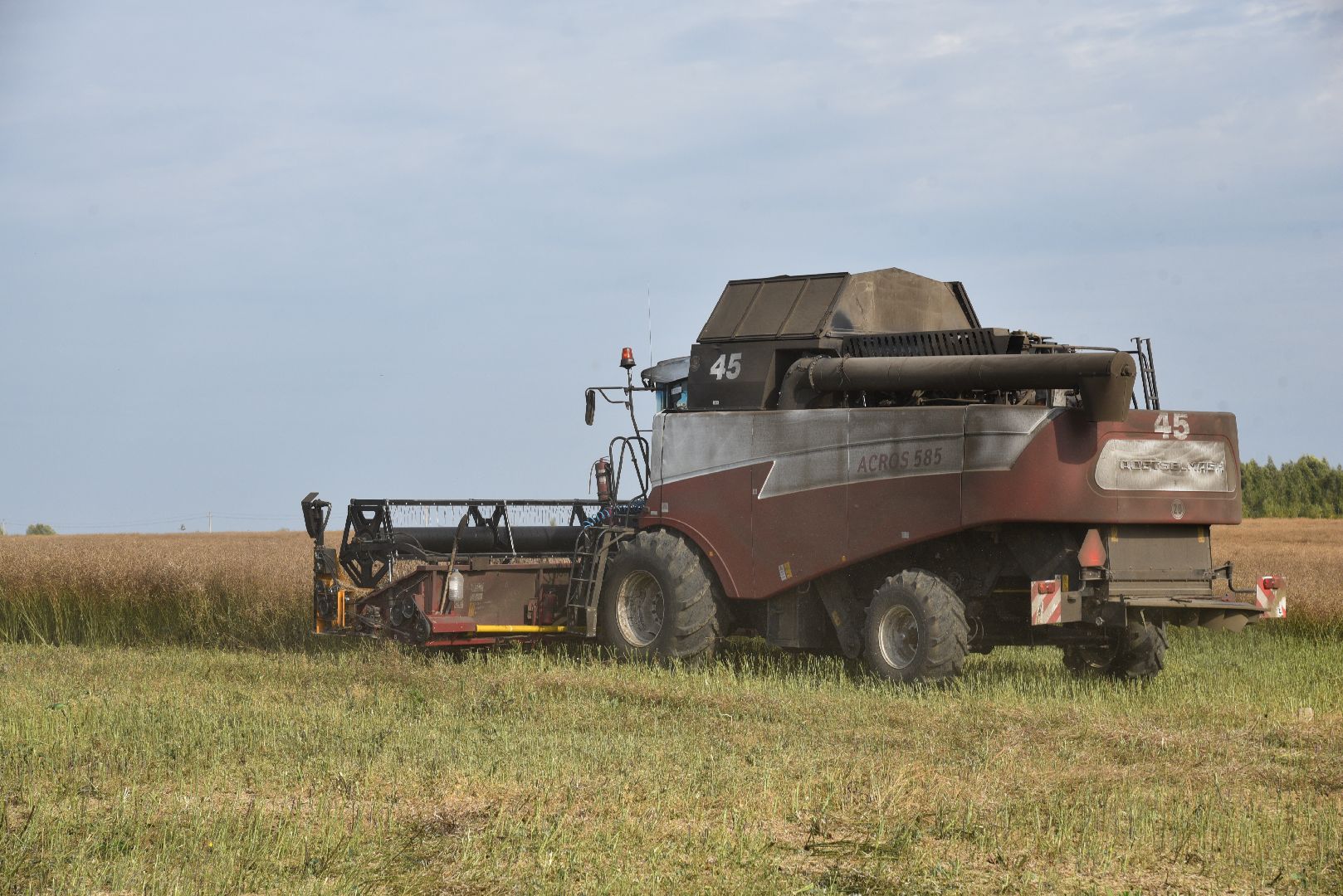 лотошино, сельское хозяйство, урожай 2024, рапс,