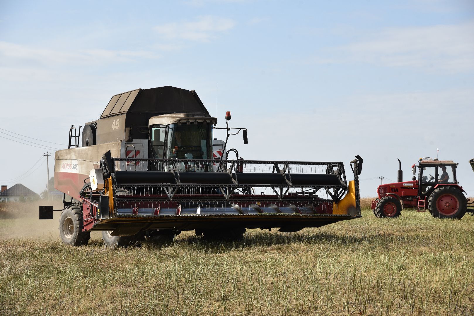 лотошино, сельское хозяйство, урожай 2024, рапс,