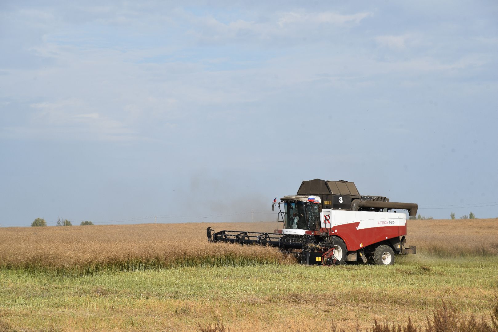 лотошино, сельское хозяйство, урожай 2024, рапс,
