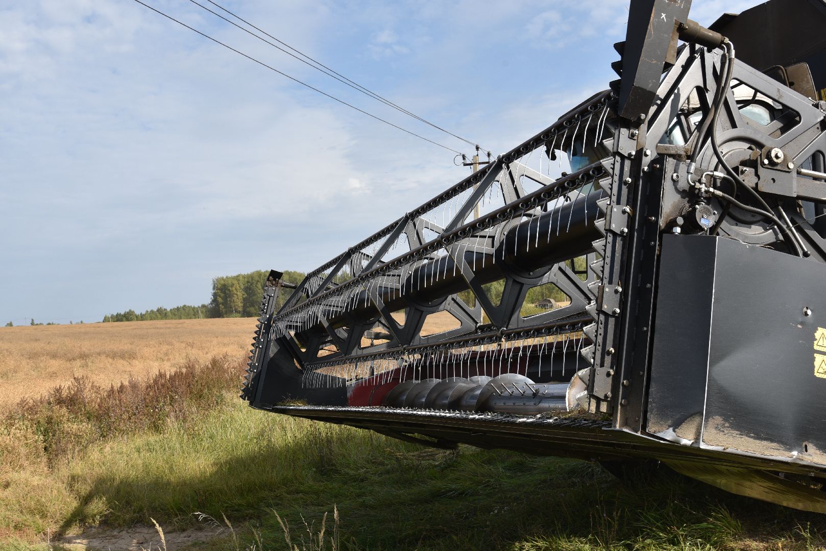 лотошино, сельское хозяйство, урожай 2024, рапс,