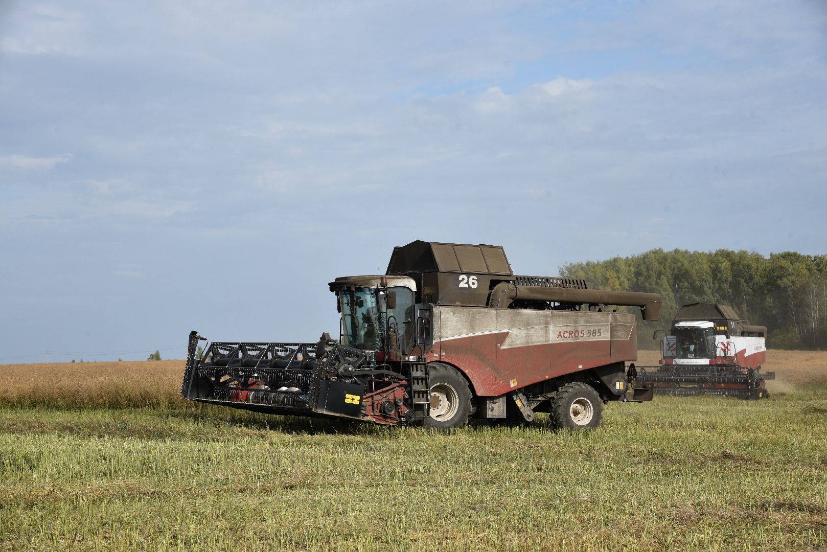 лотошино, сельское хозяйство, урожай 2024, рапс,