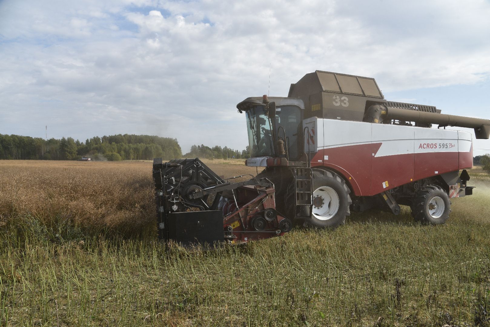 лотошино, сельское хозяйство, урожай 2024, рапс,